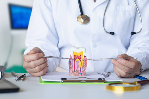 Best Weekend Emergency Dentist in New Carrollton, MD